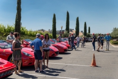 rosco_fca_599_ferrari_drive (105 of 397)_resize