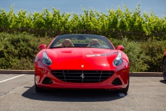 rosco_fca_599_ferrari_drive (111 of 397)_resize