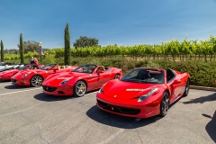 rosco_fca_599_ferrari_drive (112 of 397)_resize