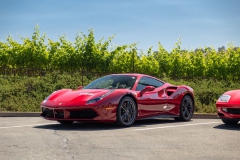 rosco_fca_599_ferrari_drive (114 of 397)_resize