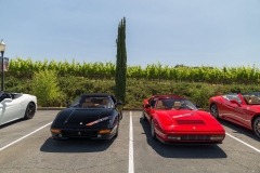 rosco_fca_599_ferrari_drive (122 of 397)_resize