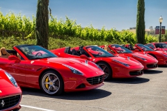 rosco_fca_599_ferrari_drive (130 of 397)_resize