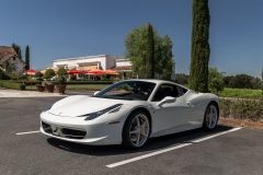 rosco_fca_599_ferrari_drive (135 of 397)_resize