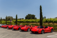 rosco_fca_599_ferrari_drive (146 of 397)_resize