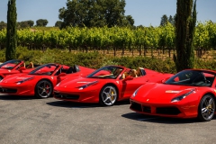 rosco_fca_599_ferrari_drive (147 of 397)_resize