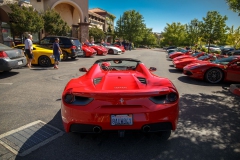 rosco_fca_599_ferrari_drive (78 of 397)_resize