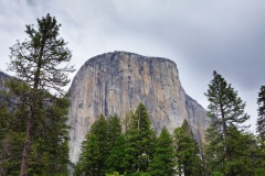 DTAC_2019-05-18_BAMI6027_resize