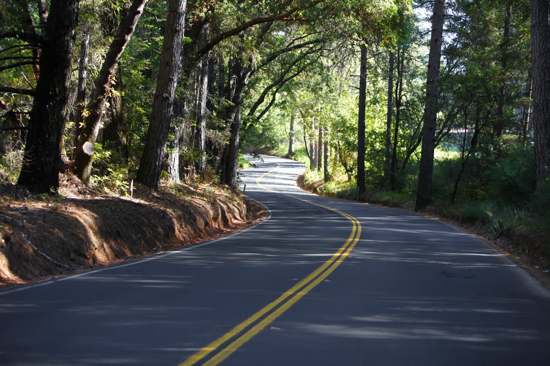 drivetowardacure03 Drive Toward a Cure for Parkinson's Disease